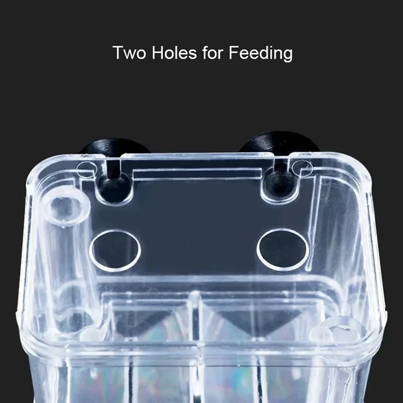 水族館アクセサリーアクリル魚飼育隔離ボックス水槽水族館ブリー - Lab Incubator のレビューと価格