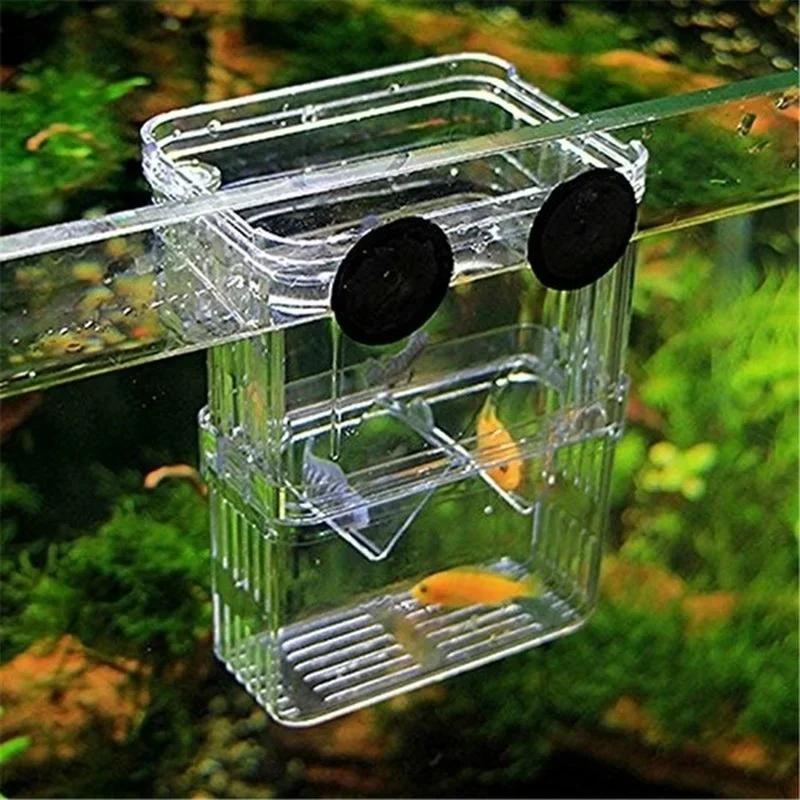 透明魚水族館高クリア繁殖分離ボックスペット用品ブリーダータン - Lab Incubator のレビューと価格