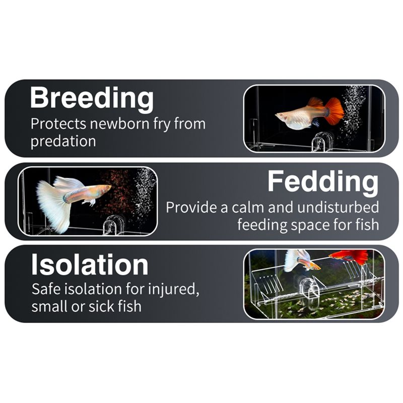 A25F-ベビーフィッシュ飼育ボックス クリア隔離ボックス  - Lab Incubator のレビューと価格