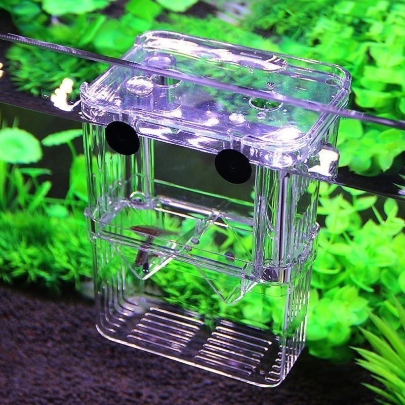 多機能フィッシュアイソレーションボックス,魚の苗の高い透明な - Lab Incubator のレビューと価格